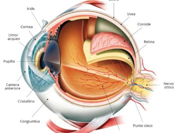 DIFETTI VISIVI